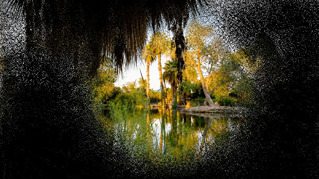 Simulación de Campo Visual en Túnel